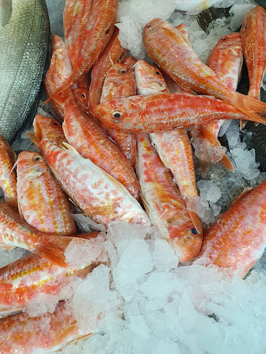 סופר דג צפת בע"מ