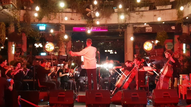 Comentarii opinii despre תדר