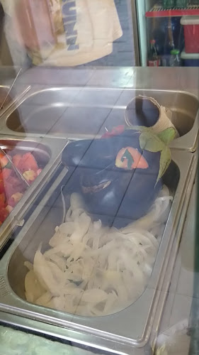 חומוס ושות'