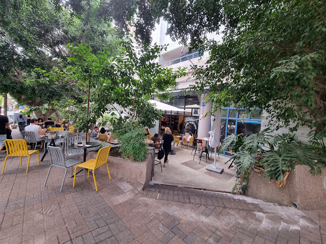 Comentarii opinii despre מונטי