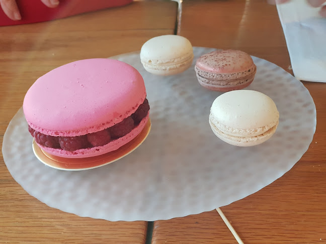 Comentarii opinii despre רביבה וסיליה רמת השרון