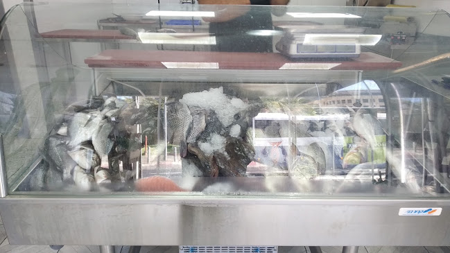 פליי פיש - דגים טריים בתל אביב | פירות ים - הסעדה