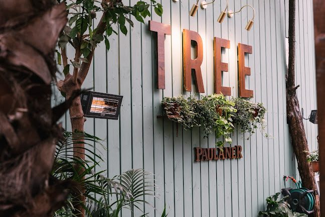 Opinii despre Tree Brasserie în רחובות - הסעדה