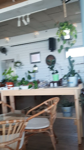 Opinii despre מסעדת החוף în אשדוד - הסעדה