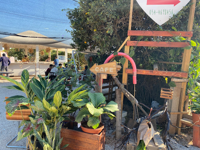 קפה במשתלה - הסעדה