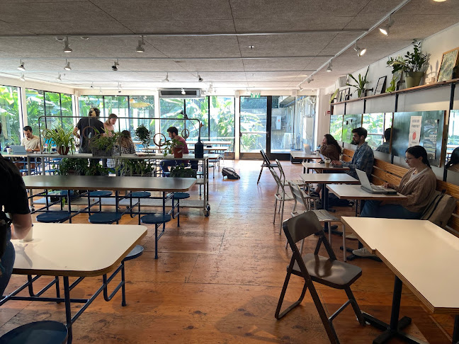 Comentarii opinii despre קפה נטו