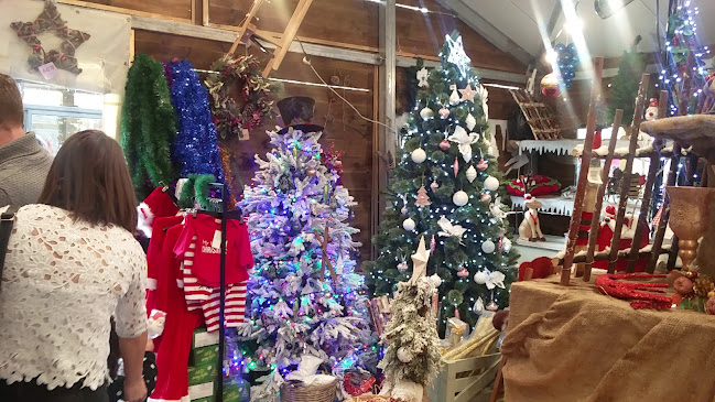 מקדונלד'ס - ביג פאשן, נצרת