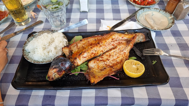 Opinii despre אל ראנצ'ו în טבריה - הסעדה