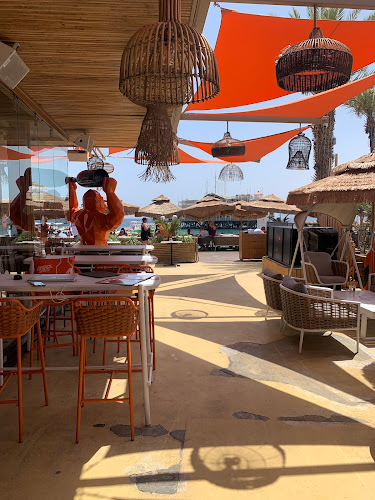 חוף מיה - mia beach bar