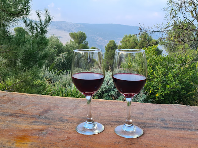 חוות בת יער