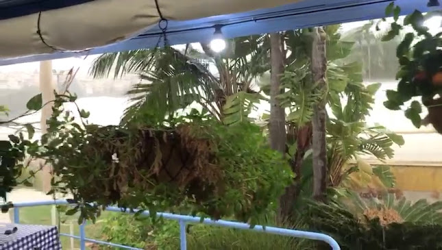 מסעדת אבו שקארה