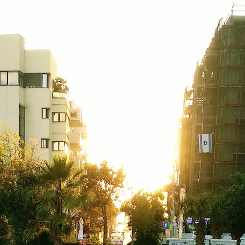 הלחוח של עירית - תל אביב-יפו