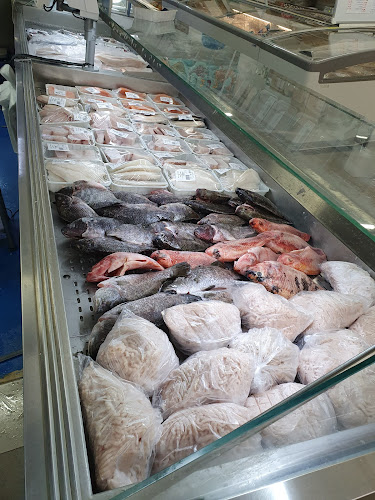 סופר דג צפת בע"מ - צפת