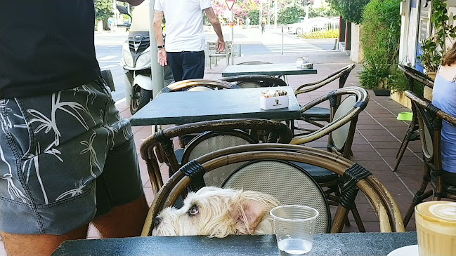 Opinii despre Café Katan BeRashi în רמת גן - הסעדה