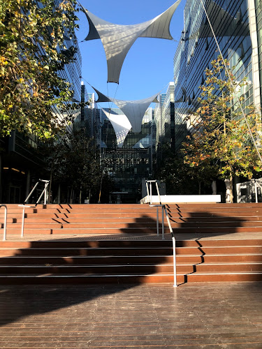 שניצל קומפני רעננה - רעננה