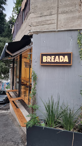 ברדא תלפיות