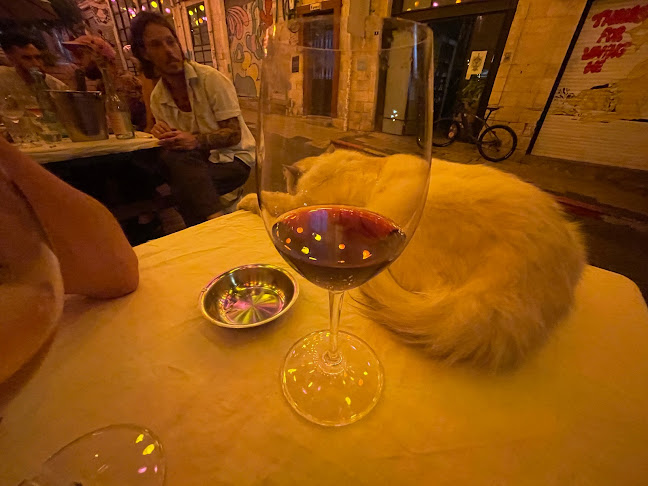 Nahum wine house נחום בית יין - חיפה