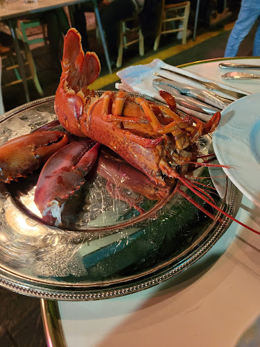 Comentarii opinii despre תלפיות