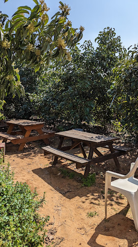 Comentarii opinii despre קפה בפטל - עגלת קפה וגלידה במרכז