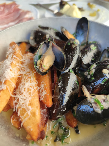 תלפיות - חיפה