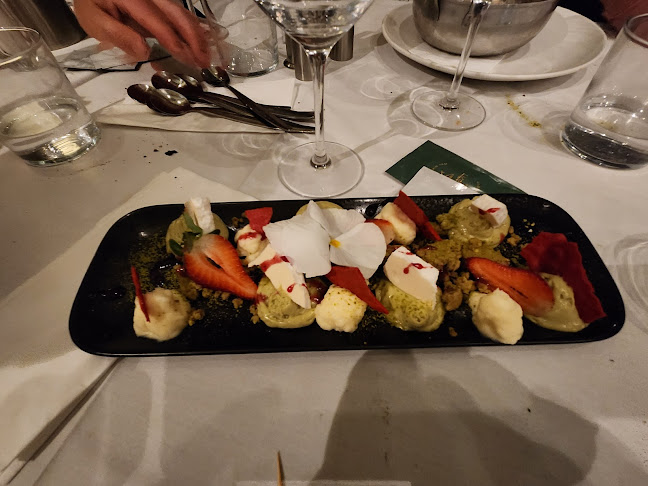 Comentarii opinii despre דולפין ים - Sea dolphin