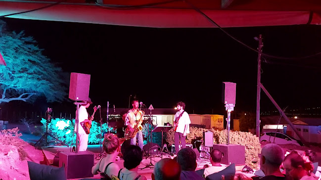 פאב הטווס - הסעדה