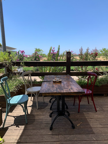 Comentarii opinii despre ג'ויס