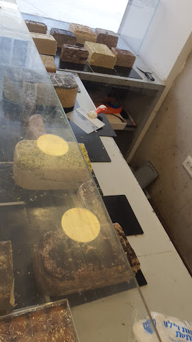 לוינסקי 48, תל אביב-יפו