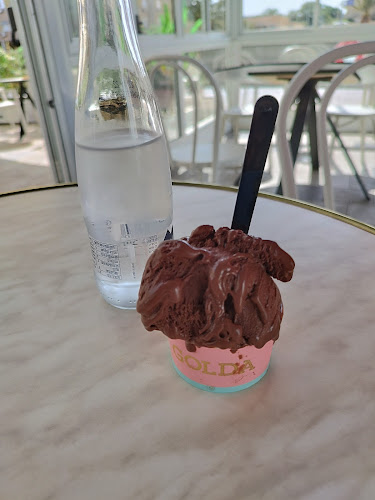 Golda Meir/Struma, דימונה