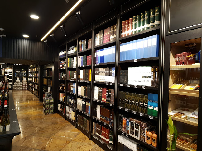 Comentarii opinii despre הרמיטאז