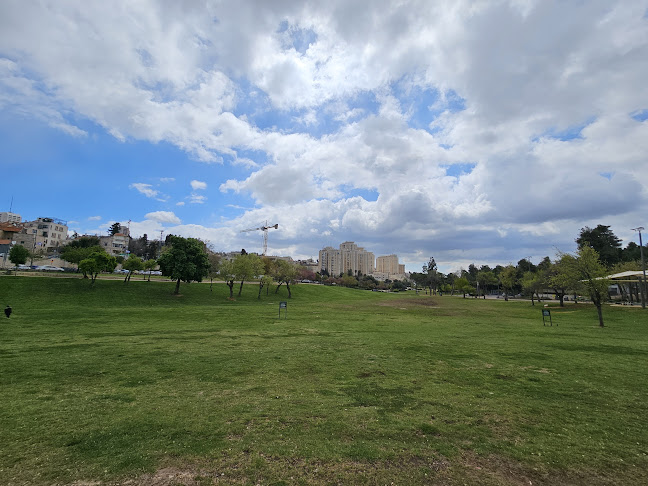 קפה גן סיפור ירושלים