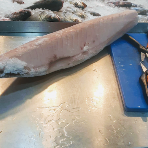 גבאי דגים ודייגים - ראשון לציון