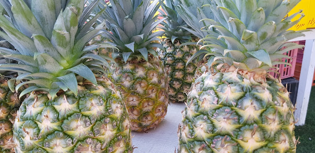 Comentarii opinii despre קונדיטוריה מאיה - קונדיטוריה בקריית גת