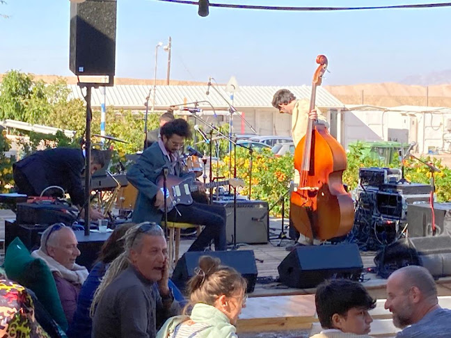 Comentarii opinii despre פאב הטווס