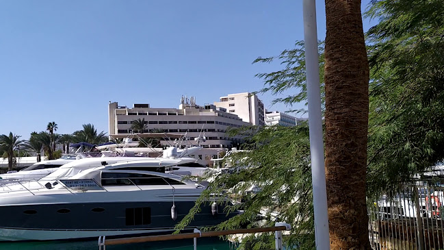 פוטטוס פיצה