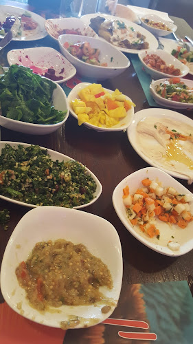 נימו - הסעדה