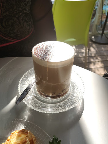 Comentarii opinii despre זריפה