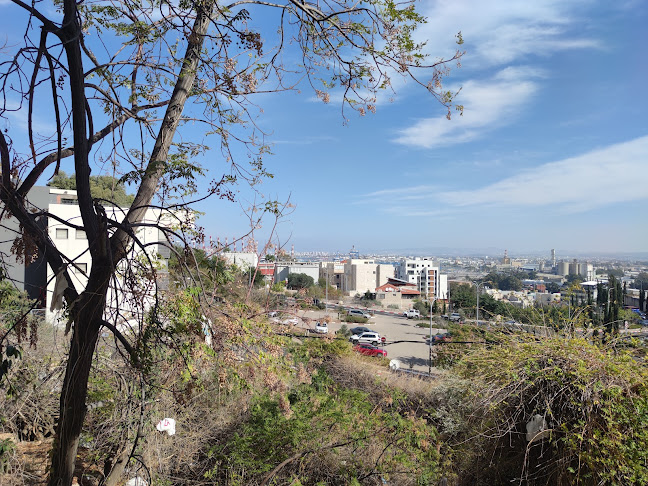 HQRN - Alternative arts & culture bar in Haifa - הסעדה