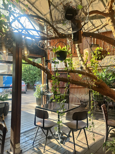 Opinii despre Tree Brasserie în רחובות - הסעדה