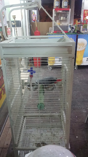 Opinii despre פיצה רונדו פ"ת în פתח תקווה - הסעדה