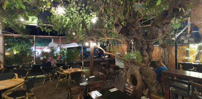 Tree Brasserie