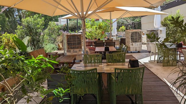 Comentarii opinii despre הפורטוגזי