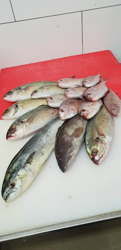 Opinii despre דגיי הקיבוצים רמת ספיר în חיפה - הסעדה