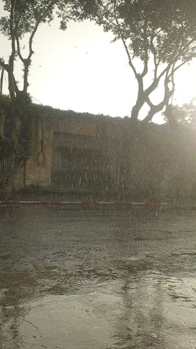 בית מאפה של אמא