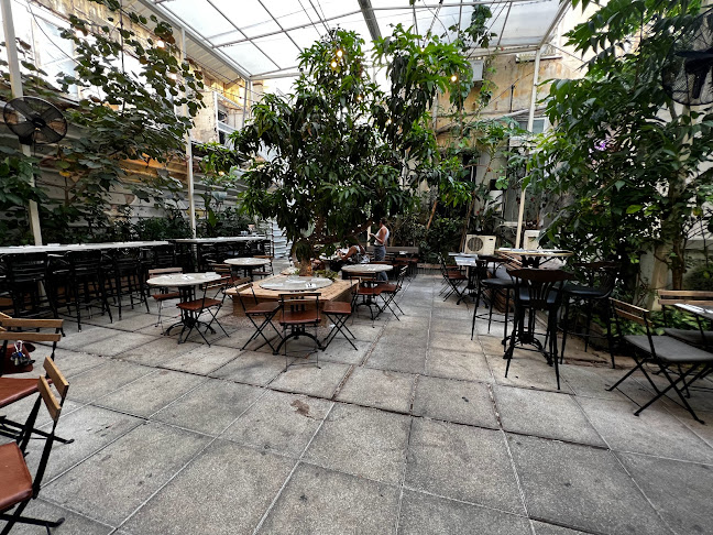 Opinii despre קפה אירופה în תל אביב-יפו - הסעדה