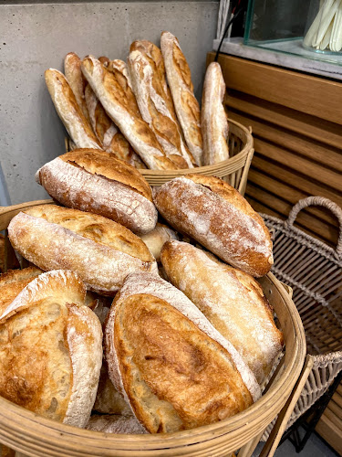 Shasha - רמת גן