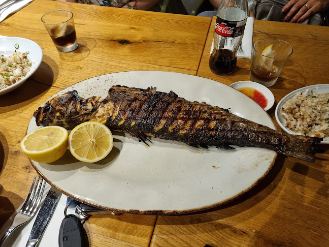 Opinii despre פסקדו אשדוד în אשדוד - הסעדה