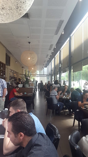 Opinii despre אייר קפה (Air caffe) מסעדה איטלקית חלבית כשרה în קריית שדה התעופה - הסעדה