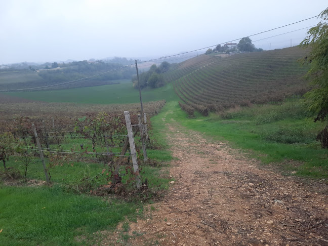 Comentarii opinii despre OBLASS WINE- יין אובלס