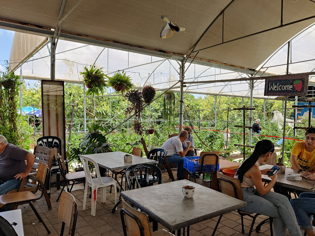 שבעת המינים, ביתן אהרון